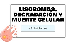 Semana 6  Lisosomas degradación y muerte celular  Biología  03092023 [upl. by Nyvek]