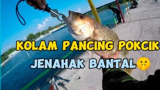 KOLAM PANCING POKCIK  JENAHAK BANTAL [upl. by Assirehs997]