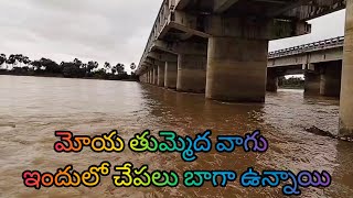 మోయ తుమ్మెద వాగు బాగా🐟yatala shankar vlogs యాటల శంకర్ వీడియో🐟 [upl. by Lindon]