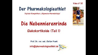 Stresshormon Cortisol Lebensretter und Gesundheitskiller  Teil 1 [upl. by Cornish]