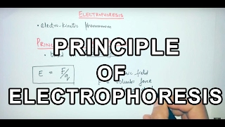 Electrochemistry Lect11  DebyeHuckel Theory of Strong Electrolytes  iitjam iitjeeadvance [upl. by Benjamen]