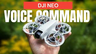 DJI Neo quotVoice Commandquot Demonstration [upl. by Anirtruc]