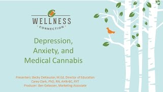 Webinar 7  Depression Anxiety and Medical Cannabis 1282016 Recording [upl. by Langille900]