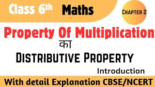 Distributive Property Of Multiplication l Addition and subtraction of Distributive Property [upl. by Dranoel472]