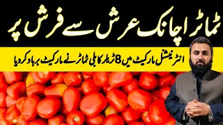 Tomatoes Market Updates  International Tomatoes Market Islamabad  16 July 2024  Sabzi Mandi wala [upl. by Silda794]