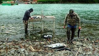 Combat fishing on Alaskas Kenai Peninsula [upl. by Leahci]