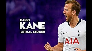 Harry Kane 2019  Lethal Striker  Skills amp Goals [upl. by Neelyad]