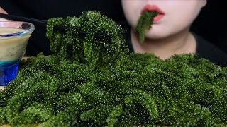 ASMR RAW SEA GRAPES PLATTER EXTREME CRUNCHY SOUNDS NO TALKING ĂN RONG NHO GIÒN SẬT SẬT MAI ASMR [upl. by Itagaki]