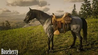 Red Dead Online Missouri Fox Trotter Blue Roan [upl. by Warrenne220]