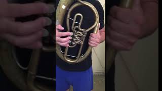 Vintage tenor horn Weltklang 2 [upl. by Lorenza439]