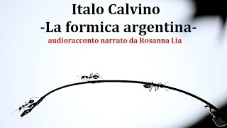 Italo Calvino La formica argentina Audioracconto [upl. by Lust594]