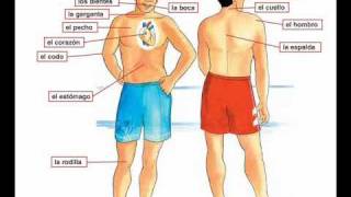 Dolor de cabeza  Learn Spanish body parts [upl. by Aihsenod]