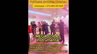 🔥 🅽🅴🆆 𝟐𝟎𝟐𝟒 💢 MEGA Colaj INSTRUMENTAL  SOLO la TOBA 💢 Formatia Armonia Chisinau LIVE la nunta [upl. by Yeldarb]