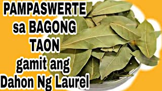 PAMPASWERTE sa BAGONG TAON gamit ang DAHON ng LAUREL [upl. by Epuladaugairam]