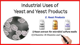 Industrial uses of yeast and yeast products [upl. by Williamsen35]