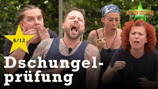 WÜRGALARM bei der Dschungelprüfung quotWürg amp Travelquot ⭐️  Dschungelcamp 2024 [upl. by Yelram285]