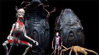 NECA Alien Covenant Creature Pack Accessory Figure Review [upl. by Oirifrop98]