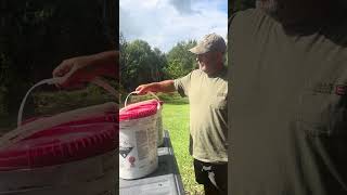 Got two Buckets of Catfish Cheese for Slat Boxes fishing catfish fish trap bait bucket [upl. by Rabka]