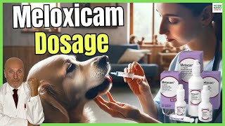 🔴 MELOXICAM FOR DOGS DOSAGE PRICE AND USES 🔴 [upl. by Grania778]