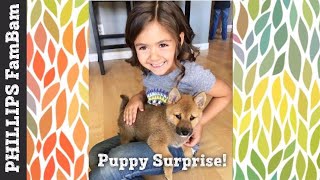 PUPPY SURPRISE  Bringing Home her Surprise Puppy on her Birthday  PHILLIPS FamBam Vlogs [upl. by Orly]