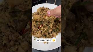 มาเด้อกินข้าวกันครับ😋 ฝากกดติดตามด้วยนะครับ cooking yoocl food cookingfood thaifood [upl. by Ule860]