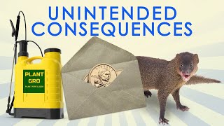 Great Moments in Unintended Consequences Coin Mail Fertilizer Ban and Hawaiian Mongoose Vol 14 [upl. by Lehrer]