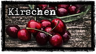 Kirschen CREEPYPASTA German [upl. by Ayekim673]