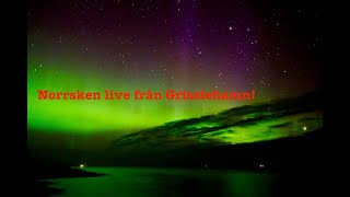 Norrsken live från Grisslehamn 30 augusti [upl. by Casabonne]