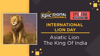 World Lion Day  Asiatic Lion  Pride of India  EPIC [upl. by Kerianne]