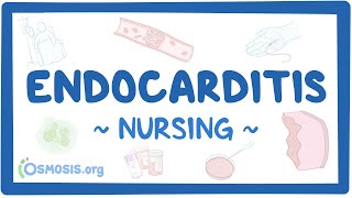 Endocarditis Clinical Nursing Care [upl. by Norrat662]