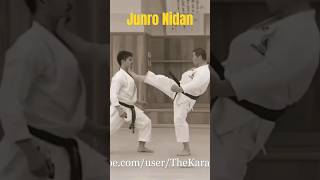 Junro Nidan Bunkai kata Masao kagawa karate martialarts [upl. by Afesoj25]