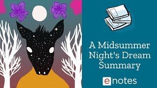 A Midsummer Nights Dream  Summary [upl. by Drescher]