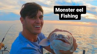 Boat fishing for Monster EELS  UK sea fishing [upl. by Hannahsohs]