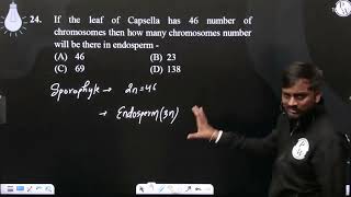 If the leaf of Capsella has 46 number of chromosomes then how many chromosomes number will be th [upl. by Carlie650]