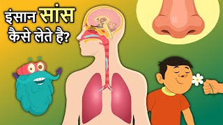 इंसान सांस कैसे लेते है  How Human Nose Works In Hindi  Respiratory System  Dr Binocs Show [upl. by Nayrda]