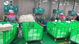 sugarcane bagasse tableware production process [upl. by Merwin]