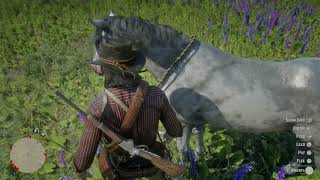 Red Dead Redemption 2  All Nokota horse coats [upl. by Frisse]