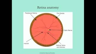 Retinopathy of Prematurity  CRASH Medical Review Series [upl. by Leiba]