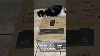 Unboxing Costco Denon AVRS760H 72Channel Home Theater AV Receiver 8K Video 4K120 NSFW ASMR [upl. by Matuag623]