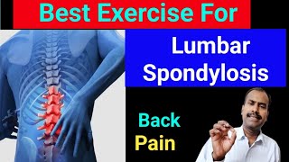 Best Exercise For Lumbar Spondylosis । Back pain Relief Exercise । Backpain painhealeravijit [upl. by Artep]