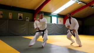 Shotokai Egami Ryu Karate Union [upl. by Orsino548]