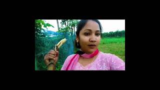 কিছু মানুষ জীবন আসে viralvideo sot foryou [upl. by Cadmar601]