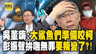 吳子嘉嗨喊「好幾個大鯊魚準備咬柯文哲」收押定了？！彭振聲想拚無罪「才放掉柯」但羈押後恐反水拚交保？！【關鍵時刻】 ebcCTime [upl. by Nibaj]