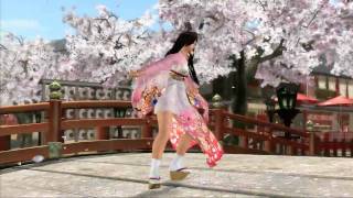 Dead Or Alive 2012 Non Stop Tenono Mix [upl. by Danais965]