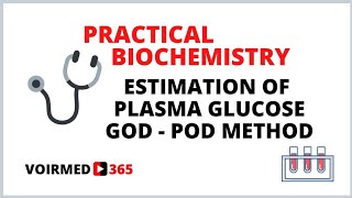 08 ESTIMATION OF PLASMA GLUCOSE  GOD POD METHOD  BIOCHEMISTRY PRACTICAL [upl. by Alejandro532]