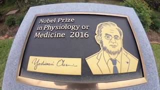 Tokyo Tech 2016 Nobel Prize monument [upl. by Maris]