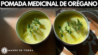 COMO HACER POMADA MEDICINAL DE OREGANO 🪴🌿 [upl. by Noeruat]