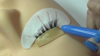 What to expect on your first visit to Amazing Lash Studio [upl. by Nwahsad]