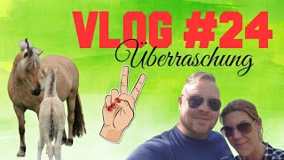 VLOG 24 Überraschungstag oder doch nicht  die PÜFFCHENS [upl. by Fine]