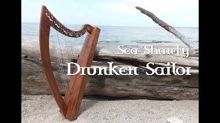 Drunken Sailor on Celtic Folk Harp [upl. by Gianina]